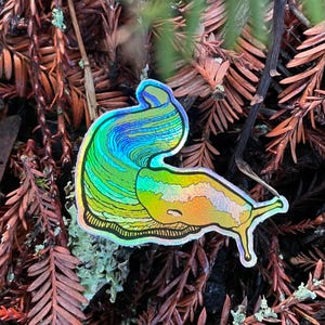 Bananen Slug Holographischer Aufkleber |  UC Santacruz San Francisco Kalifornien Oregon Native Banana Slug Naturliebhaber für Laptop oder Wasserflasche