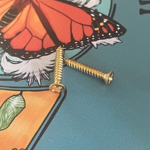 Puede incluir: Dos tornillos dorados con cabeza Phillips est&aacute;n colocados sobre una superficie turquesa. El fondo presenta una colorida ilustraci&oacute;n de una mariposa monarca y elementos florales. Los tornillos son probablemente para carpinter&iacute;a o manualidades.