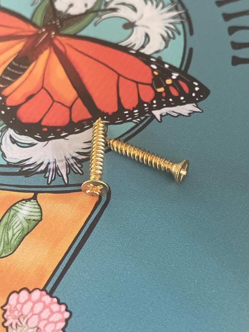 Puede incluir: Dos tornillos dorados con cabeza Phillips est&aacute;n colocados sobre una superficie turquesa. El fondo presenta una colorida ilustraci&oacute;n de una mariposa monarca y elementos florales. Los tornillos son probablemente para carpinter&iacute;a o manualidades.