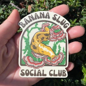 Sticker Social Club Banana Slug |  Illustration de champignons queue de dinde | Amoureux de la nature de la forêt de séquoias indigènes de Californie, de l'Oregon pour ordinateur portable ou gourde