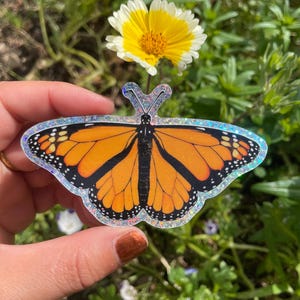 Monarchvlinder holografische sticker |  Inheemse vlinder uit Californië (Oregon) natuurliefhebber voor laptop of bidon