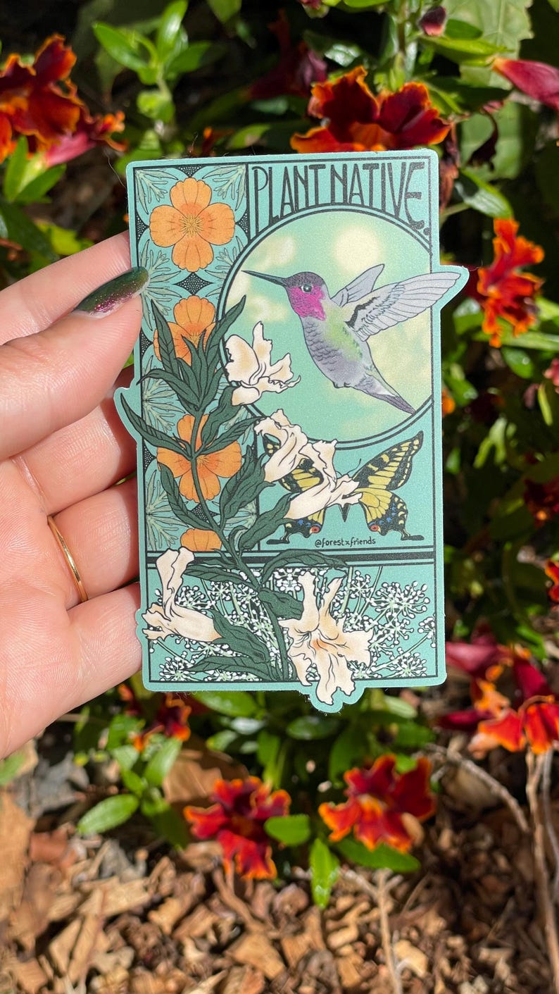 May include: A rectangular sticker with a light green background featuring the text PLANT NATIVE at the top. The design includes a pink-throated hummingbird in flight, a yellow and black butterfly, orange flowers, and white blossoms.