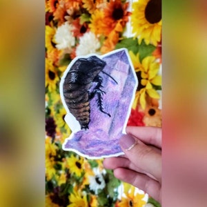 crystal Cockroach Vinyl Sticker - Insect Sticker - Entomology Stickers - Roach Decal - Bumper Sticker - Bug Sticker for Water bottle laptop