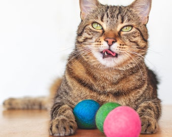 felt cat balls