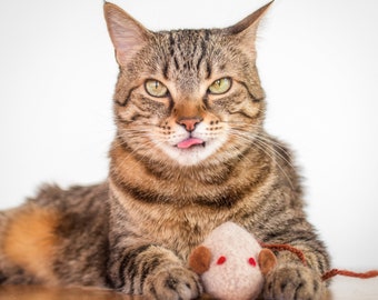 Felted Wool Mouse Cat Toy: Organic Catnip Kicker, Beige and Brown