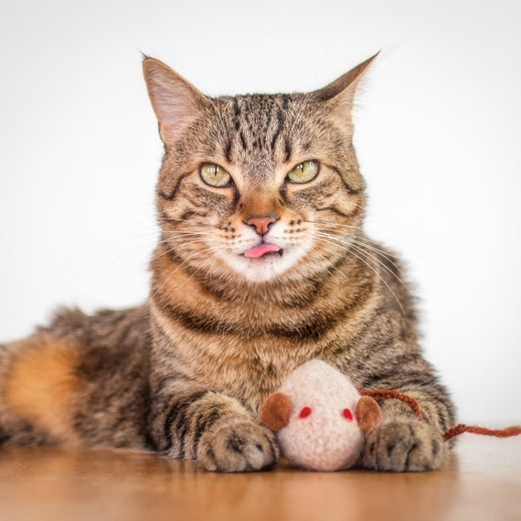 Catnip Beige Catnip Field Wool Mouse