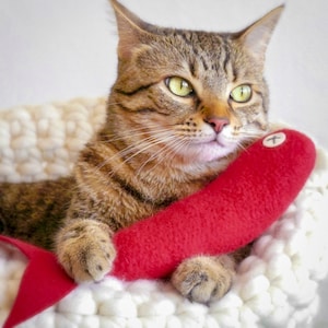 Red Herring Fish Catnip Kicker. Organic Catnip Toy. Large Kicker Cat Toy. Christmas Cat Toy. Red Cat Toy. Catnip Fish.