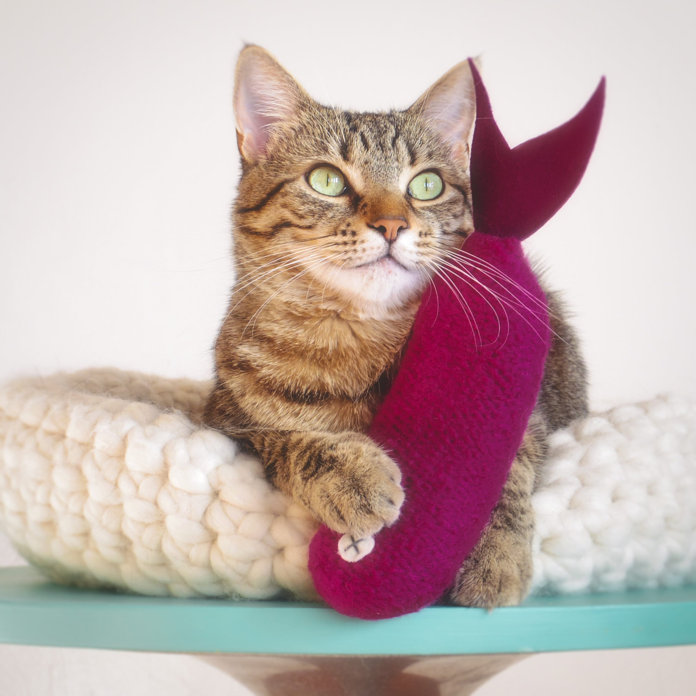 Jouets Pour Chats. Jouet d'herbe à Chat. Chat Violet. Poisson L'herbe Herbe Kicker. Biologique. de e