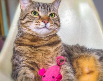 Felted Wool Mouse Cat Toy: Organic Catnip Kicker, Bright Rose Pink