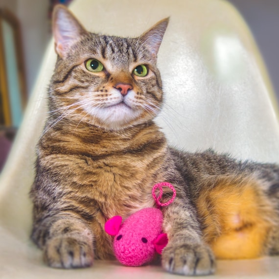 Felted Wool Mouse Cat Toy: Organic Catnip Kicker, Bright Rose Pink - Etsy