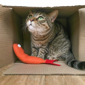 May include: A tabby cat with green eyes sits inside a cardboard box with a red and orange plush toy shaped like a worm.
