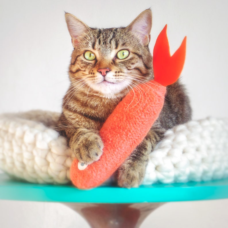 Cat Toys. Coral Salmon. Luxury Cat Toy. Gifts for Cats. Catnip Etsy