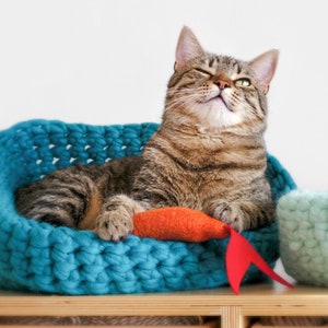 May include: A tabby cat with green eyes relaxes in a turquoise knitted cat bed. The cat is lying on its side with its head tilted up and its eyes closed. A red and orange fish toy is in front of the cat.