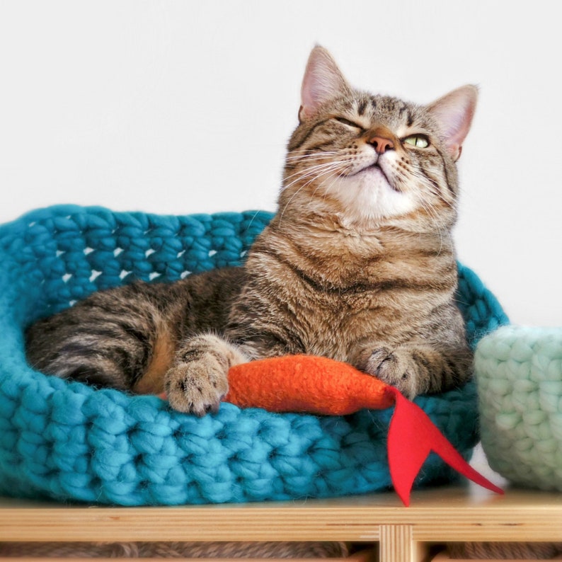 May include: A tabby cat with green eyes relaxes in a turquoise knitted cat bed. The cat is lying on its side with its head tilted up and its eyes closed. A red and orange fish toy is in front of the cat.