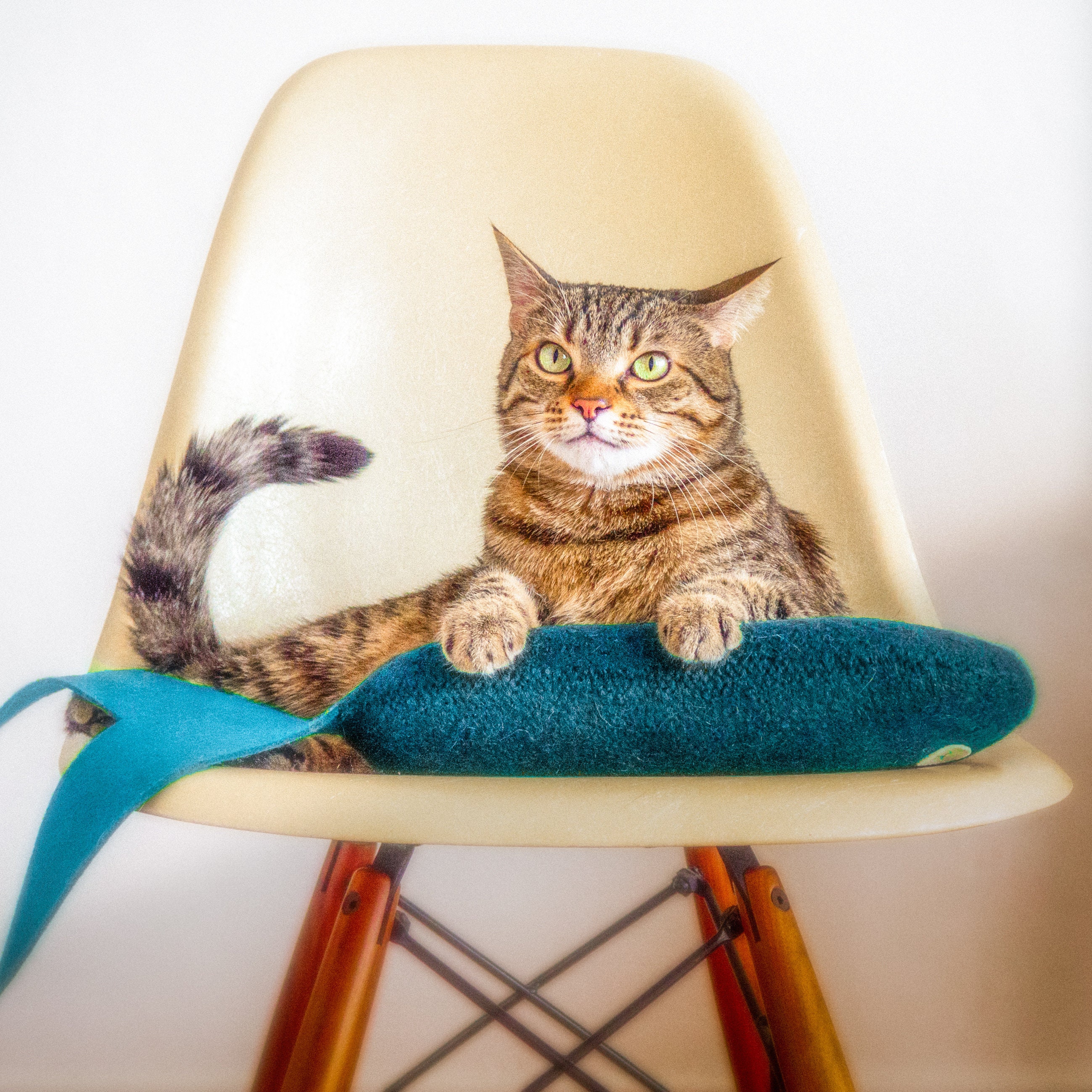 Poisson-Chat Jumbo. Jouets Pour Chats. Sarcelle Blue Fish. Catnip Organique. Jouet Catnip. de Chat L