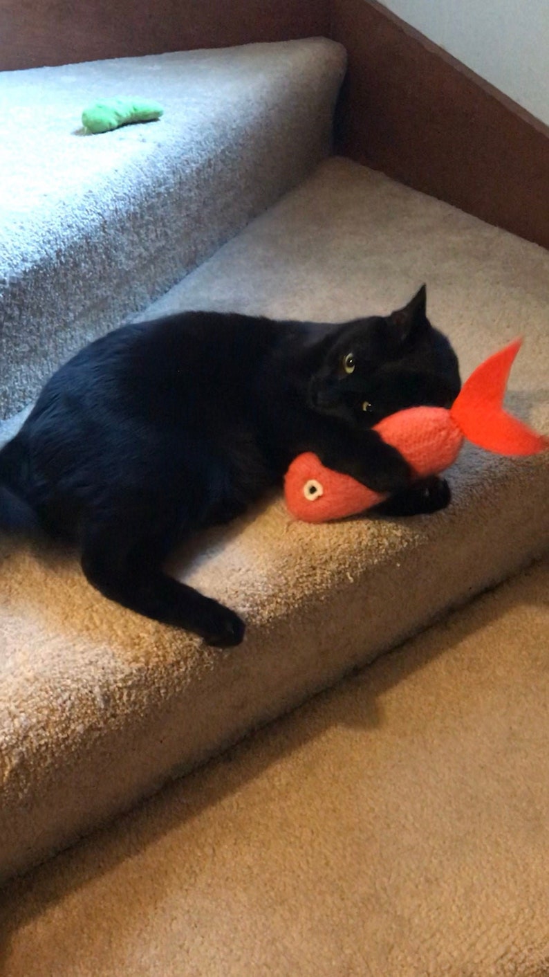 Reserved For Michelle Luxury Cat Toy Gifts For Cats Catnip Etsy