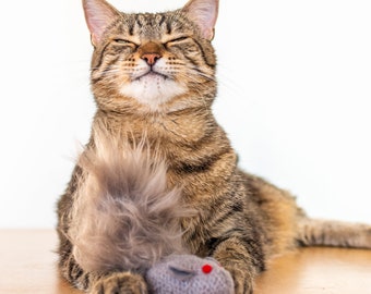 Felted Wool Gray Squirrel Cat Toy: Organic Catnip Kicker, Vegan Fur Tail