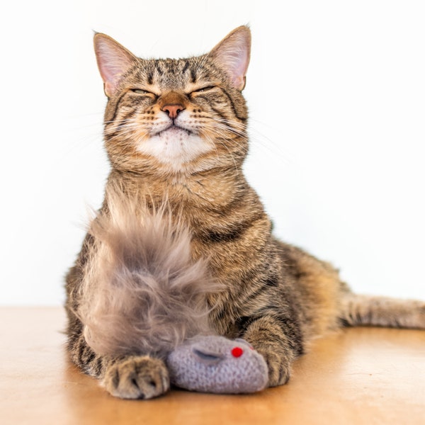 Cat Toy. Catnip Squirrel. Gray Squirrel. Catnip Toy. Fun Fur Cat Toy. Organic Cat Toy. Organic Catnip. Felt Cat Toy. Catnip Toy