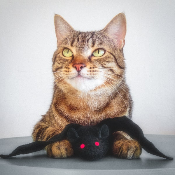 Batnip. Catnip Bat. Black Bat. Catnip Toy. Organic Catnip. Felt Bat. Halloween Cat Toy. Bat Cat Toy. Cat Kicker. Felt Cat Toy.