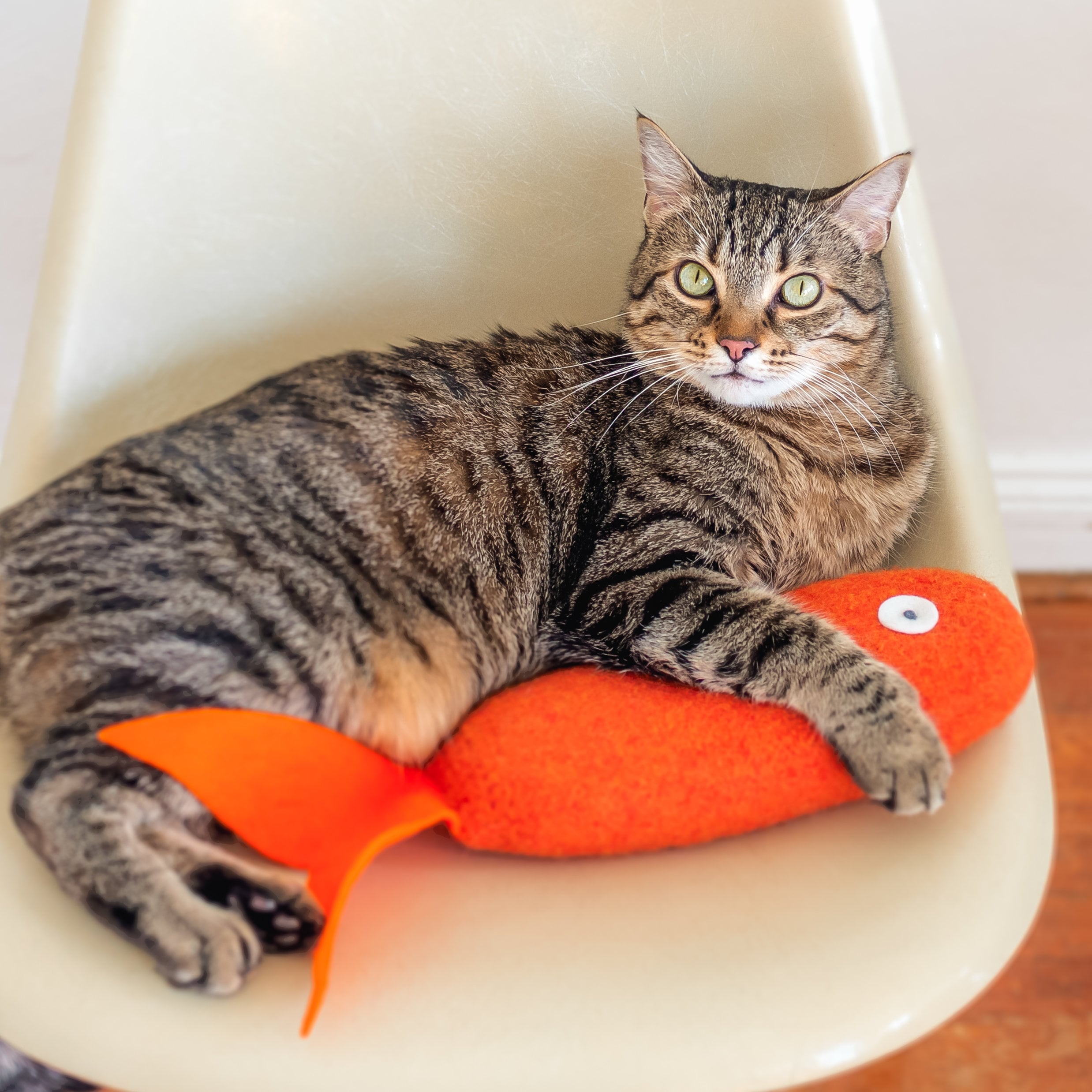 Jumbo Catnip Fish. Large Cat Toy. Orange Fish. Cat Toys. Organic