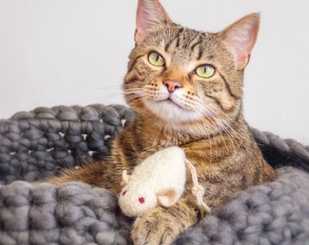 Jouets pour chats. Jouet d’herbe à chat. Souris ivoire. Souris à l’herbe à chat. Jouet pour chat blanc. Jouet pour chat biologique. Souris blanche. Herbe à chat biologique. Jouet pour chat. Souris en feutre.