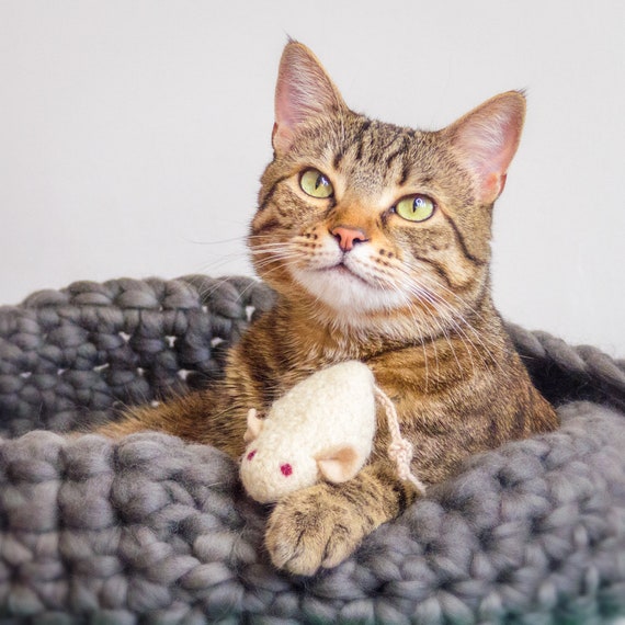 Felted Wool Mouse Cat Toy: Organic Catnip Kicker, Ivory White