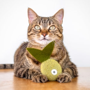Catnip Toy. Organic Catnip. Green Tea Color. Cat Toy. Catnip Fish. Tropical Fish. Valerian Option. Green Cat Toy. Catnip Kicker.