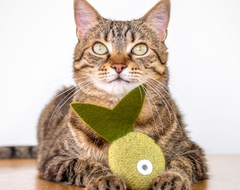 Organic Catnip Tropical Fish Toy: Green Tea Color Felted Wool Cat Kicker, Valerian Option