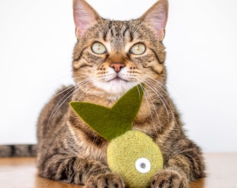 Catnip Toy. Organic Catnip. Green Tea Color. Cat Toy. Catnip Fish. Tropical Fish. Valerian Option. Green Cat Toy. Catnip Kicker.