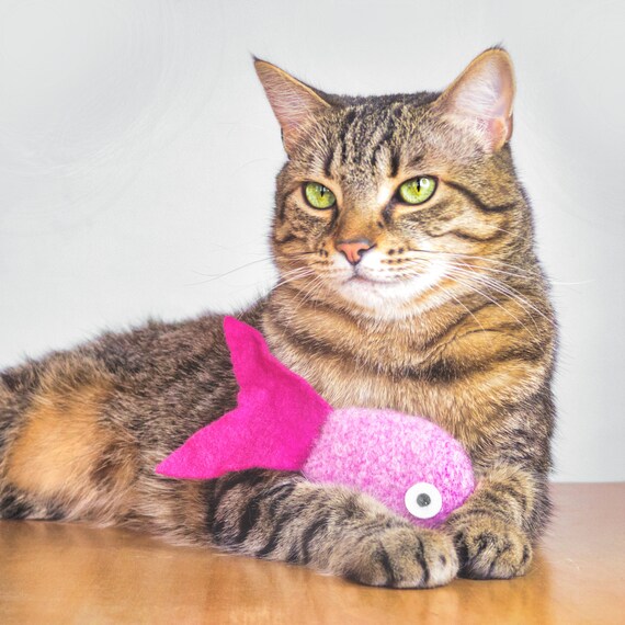 Fish shaped cat toys 2025
