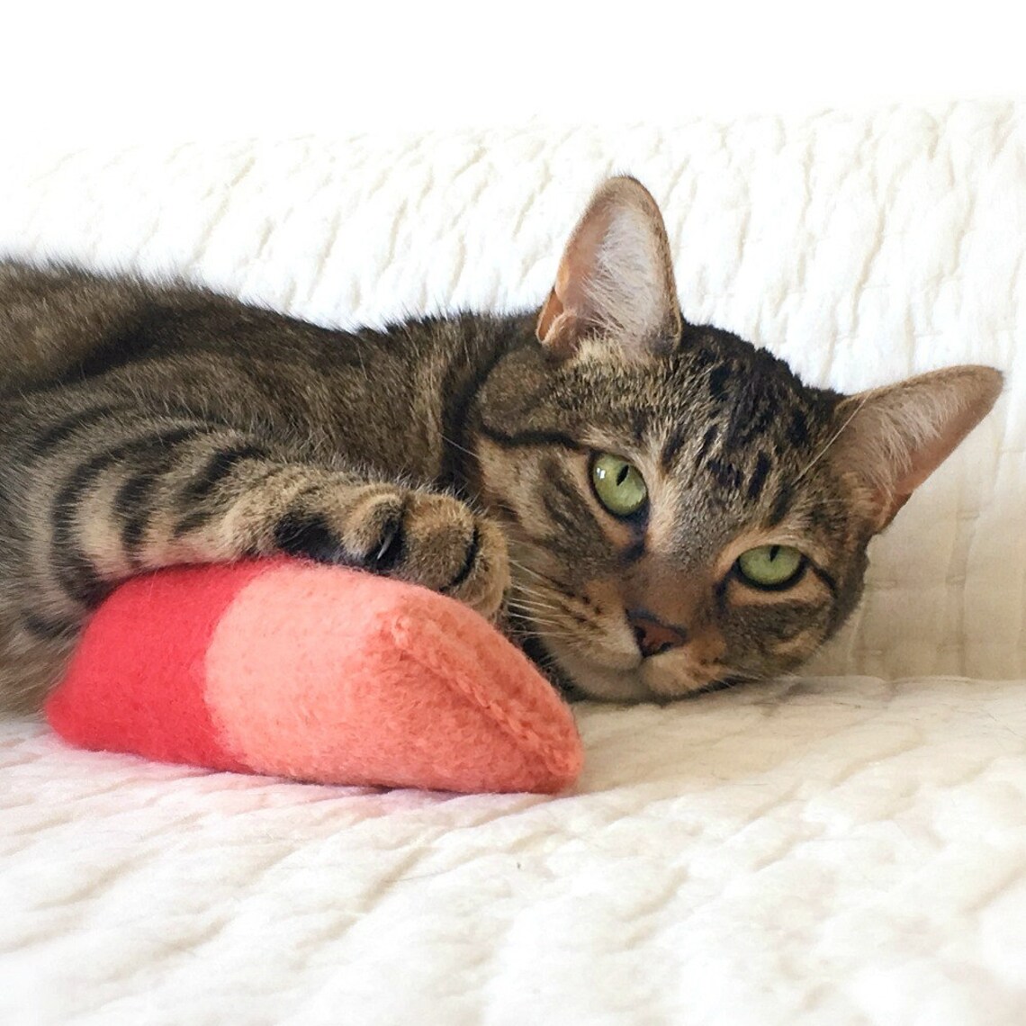 Cat Toy. Catnip Toy. Organic Catnip. Red Coral Cat Toy. Wool Etsy