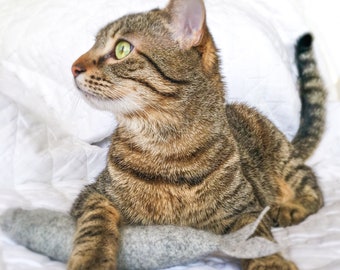 chat sexe saint martin dh eres