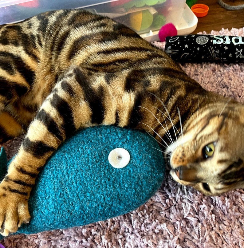 Jumbo Catnip Felted Wool Fish. Cat Toys. Teal Blue Fish. Organic Catnip. Catnip Toy. Luxury Cat Toy. Catnip Kicker. Large Kicker image 2