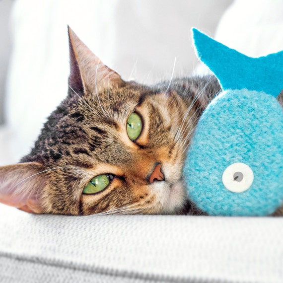 Organic Catnip Fish Toy: Ice Blue Felted Wool Cat Kicker, Valerian