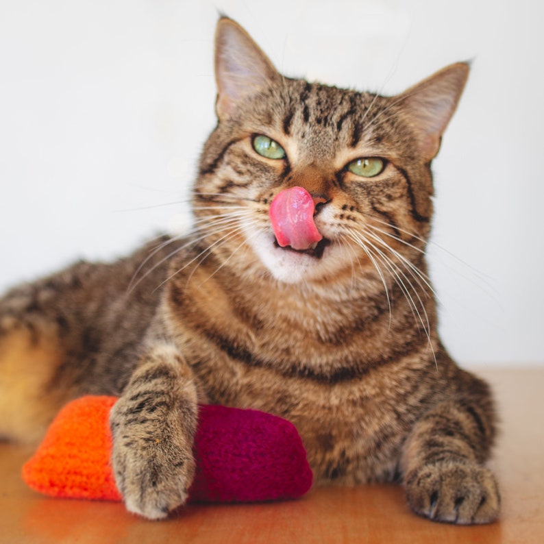 Cat Toy. Catnip Toy. Organic Catnip. Purple Orange Cat Toy. Etsy