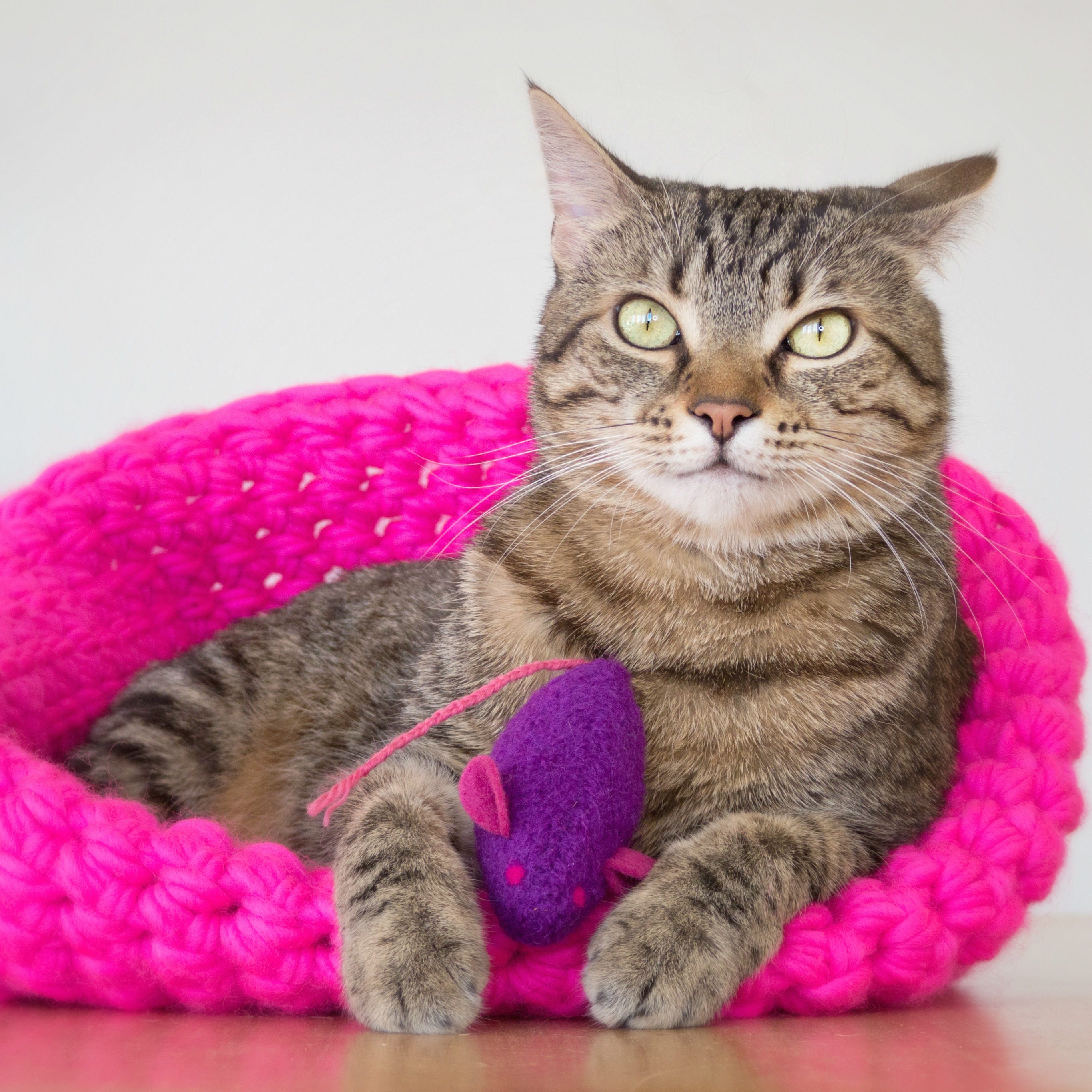 Catnip Toy. Catnip Mouse. Purple Cat Toy. Organic Cat Toy. Etsy