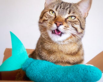 May include: A brown tabby cat with green eyes is looking at the camera with its mouth open. The cat is sitting in a cardboard box with a teal blue fish-shaped toy.