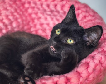 Cat Bedding. Cat Basket. Luxury Pet Bed. Soft Rose Pink. Hand Crochet Pet Bed. Chunky Pet Bed. Wool Pet Bedding. Nesting