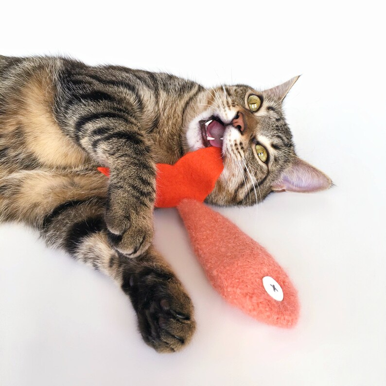 Cat Toys. Coral Salmon. Luxury Cat Toy. Gifts for Cats. Catnip Etsy