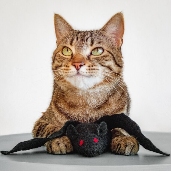 cat toys etsy