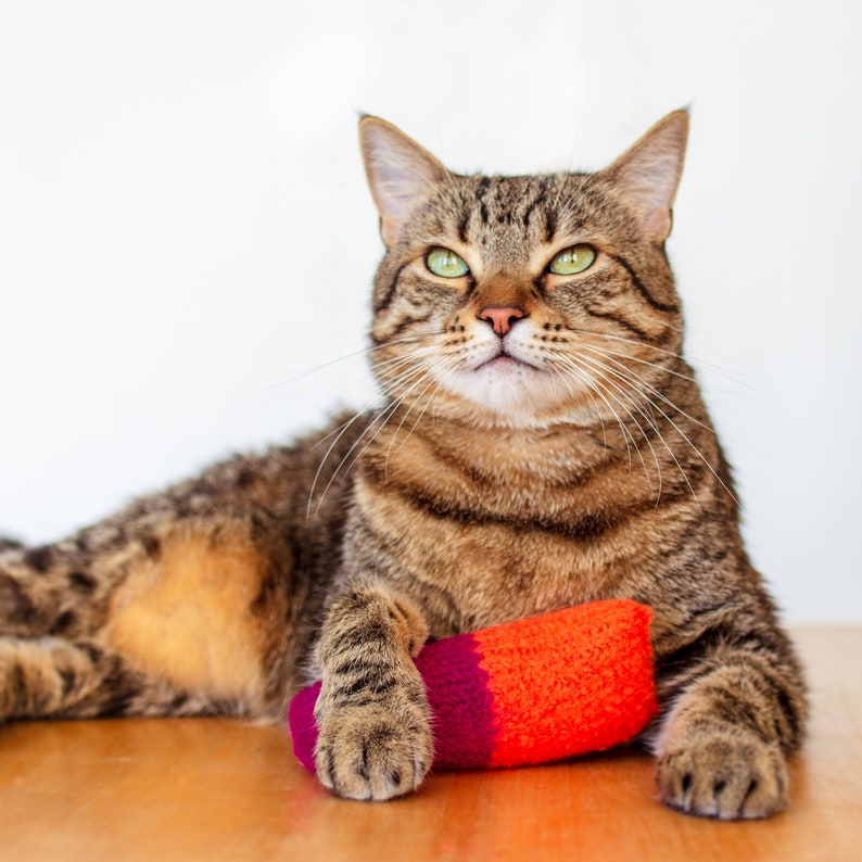 Cat Toy. Catnip Toy. Organic Catnip. Purple Orange Cat Toy. Etsy