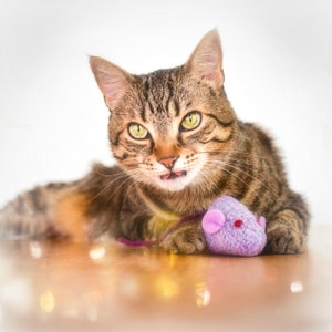 May include: A tabby cat with green eyes and a pink tongue sticking out is playing with a purple and pink toy mouse.