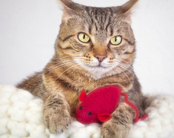 Jouets pour chats. Jouet à l'herbe à chat. Souris aux canneberges. Jouet pour chat Saint-Valentin. Souris à l'herbe à chat. Jouet pour chat rouge. Jouet pour chat biologique. Souris rouge. Herbe à chat biologique