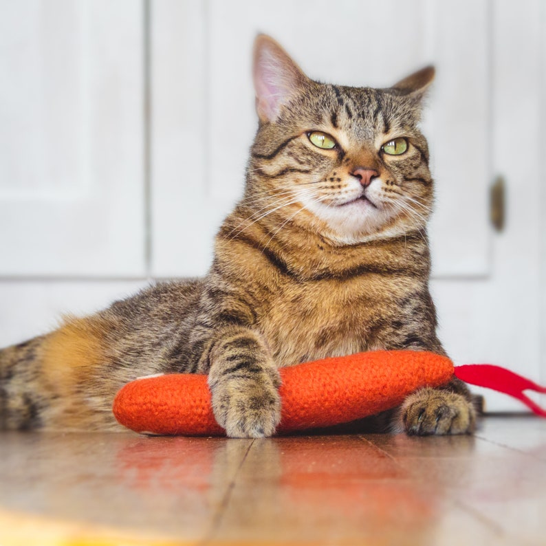 May include: A tabby cat with green eyes lays on a wooden floor with a red carrot-shaped toy. The cat is looking to the right of the frame.