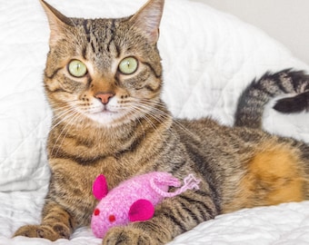 Felted Wool Mouse Cat Toy: Organic Catnip Kicker, Sugar Pink
