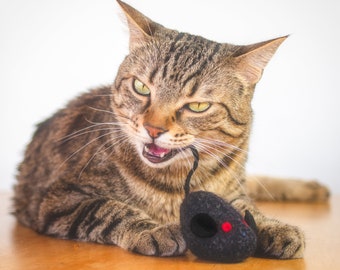 Felted Wool Mouse Cat Toy: Organic Catnip Kicker, Black Tweed