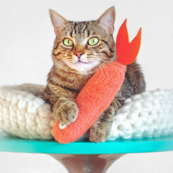 Cat Kicker. Coral Salmon. Catnip Fish. Luxury Cat Toy. Wool Cat Kicker. Organic Catnip Toy. Felt Cat Toy. Toys For Cats.