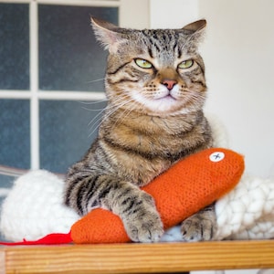 May include: A tabby cat with green eyes is lying on a white fluffy surface. The cat is holding a knitted orange carrot toy with a white button on it.