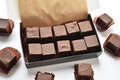 Sugar Free Chocolate Fudge - White Chocolate/Salted Chocolate Caramel/Irish Cream Fudge With or Without Walnuts - Diabetic Friendly