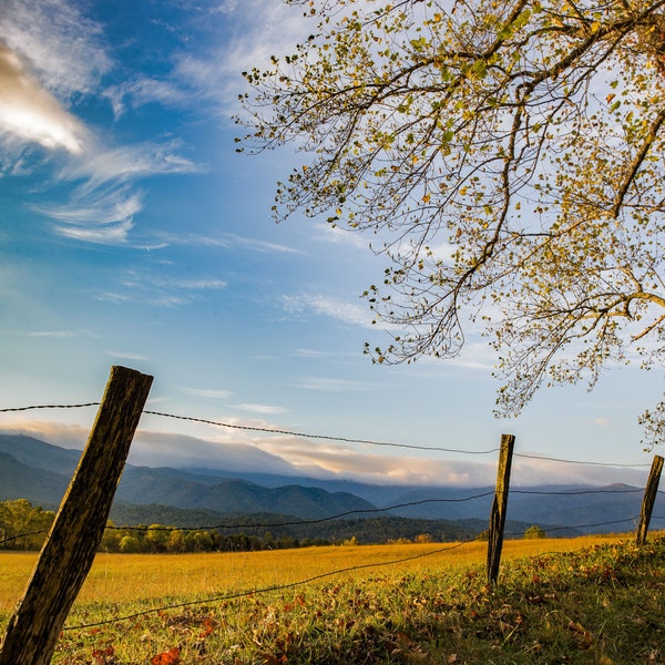 Great Smoky Mountains Print - Cades Cove -  Gatlinburg, Tennessee